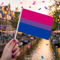 SMALL PRIDE FLAGS