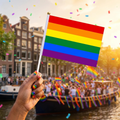 SMALL PRIDE FLAGS